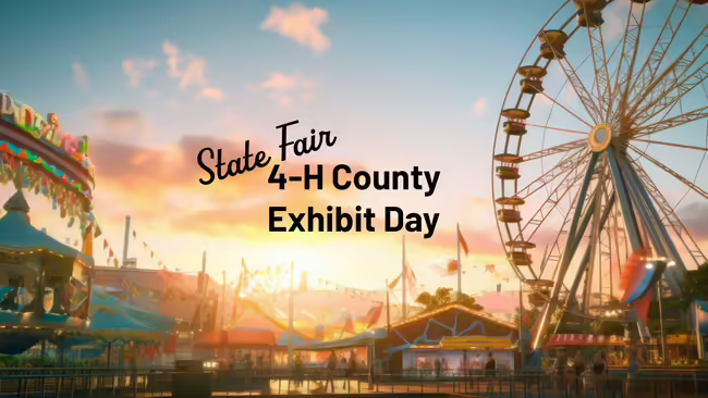 fairgrounds at sunset