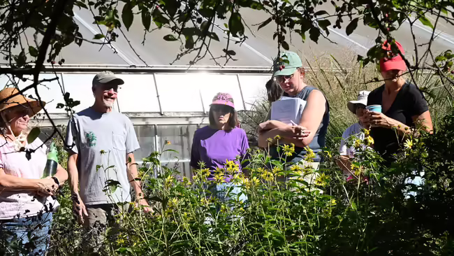 a group of people looking at flowers