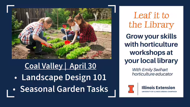 Adult and two youth work together in a garden