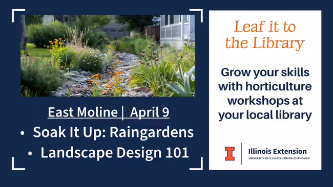 raingarden with program information