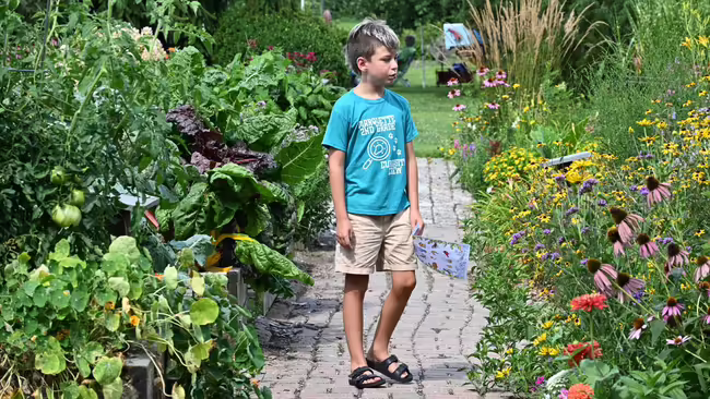 a boy in the flower garden