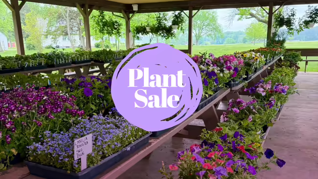 a variety of plants with the text that says Plant Sale 