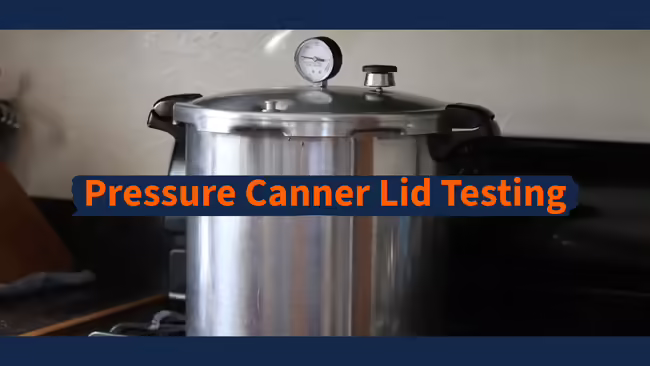 Pressure canner sitting on stovetop