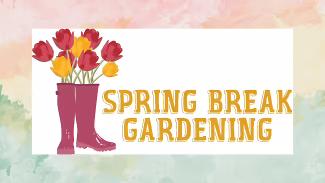 Boots with flowers planted in them