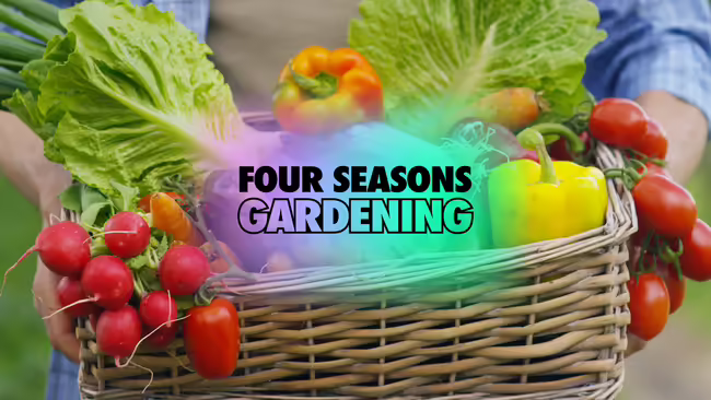Close up of a basket filled with a color arrangement of vegetables being held by a person