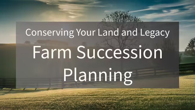 pasture scene with tree