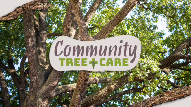Community Tree Care
