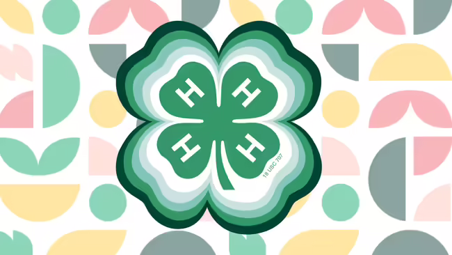 4-H clover