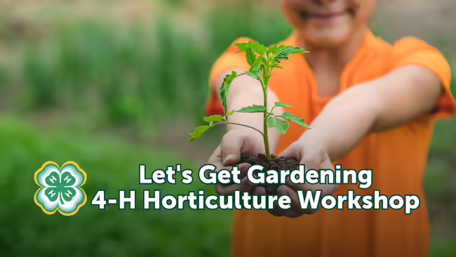 4-H Horticulture Workshop - Let's Get Gardening, text layered over a picture of youth holding a tomato plant wih dirt in their hands
