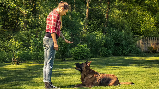 A girl holding her hand out while a dog is laying down outside