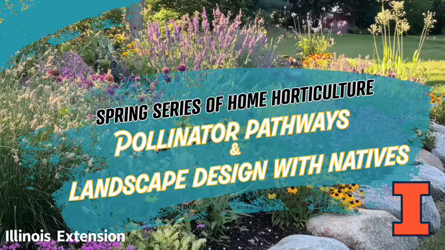 spring series week 2 with native plants