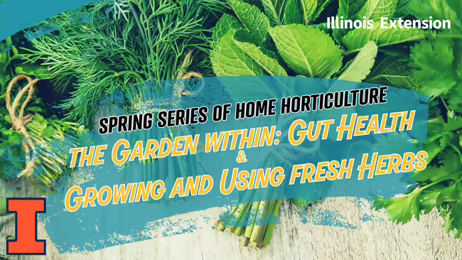 spring series week 3 with garden produce and herbs