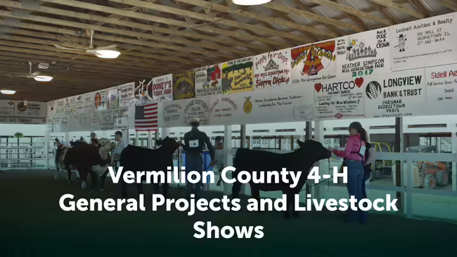 Iroquois County 4-H General Projects and Livestock Shows