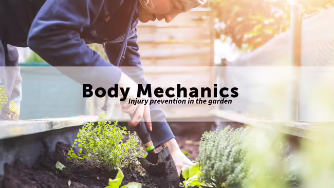 Woman gardening in raised bed