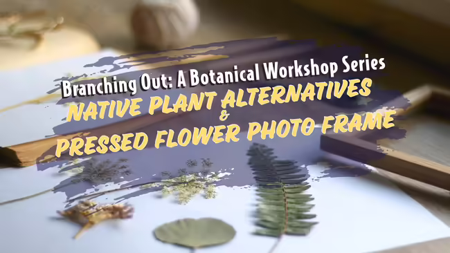 leaves and herbs ready for pressing