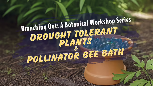 Bee Bath made with beads and terra cotta planter