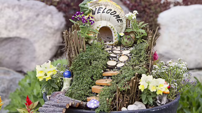 fairy garden
