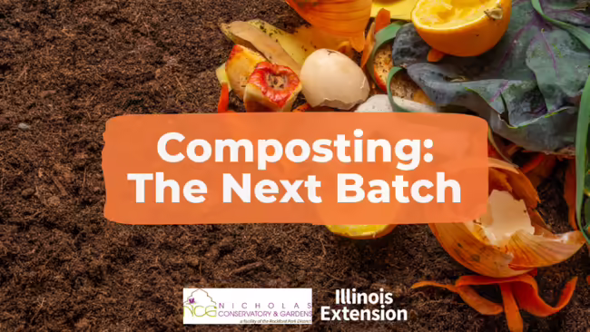 Composting: the Next Batch