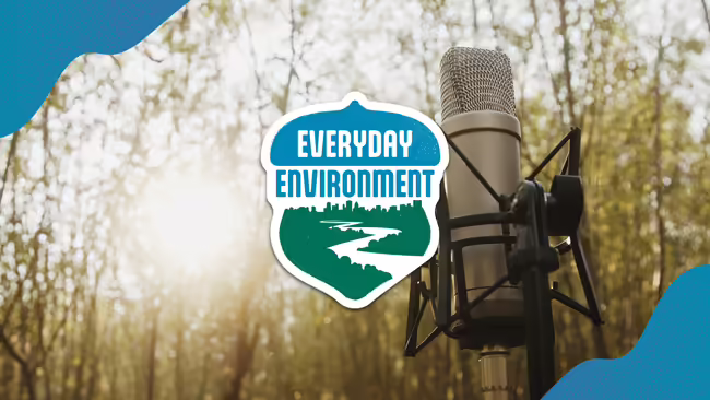 A microphone in a forest, the Everyday Environment logo