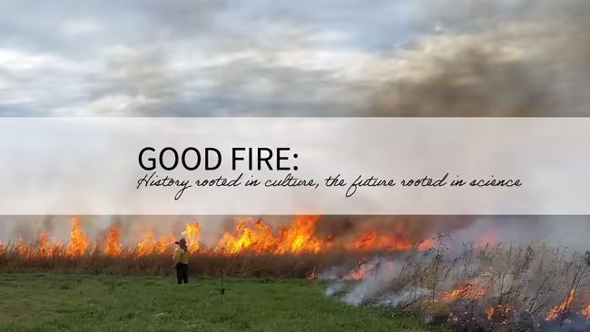 a controlled burn fire