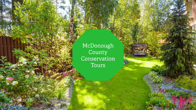 A beautifully landscaped yard with flowers, trees, and shrubs.