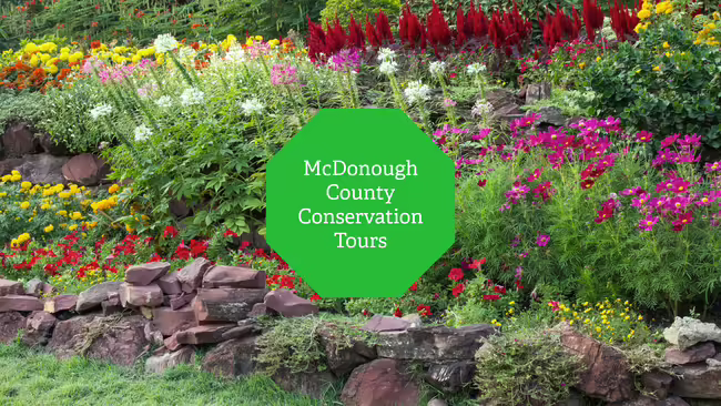 A terraced backyard landscape full of blooming flowers.