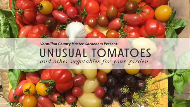 a cutting board full of colorful tomatoes, garlic and herbs