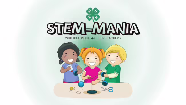 Stem-Mania with Blue Ridge Teen Teachers