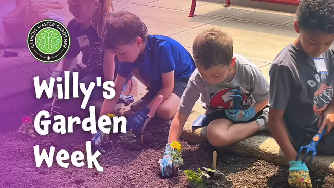 youth planting flowers