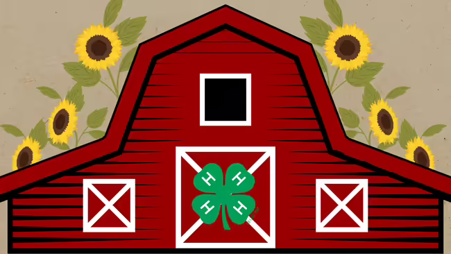 A barn with a 4-H clover logo on the center door and sunflowers behind it against a tan background.