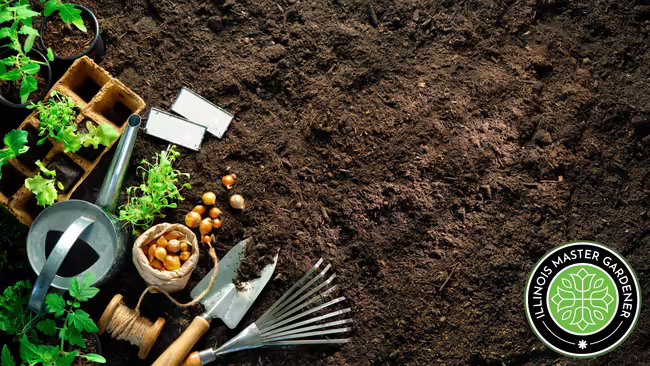 Gardening tools, seedlings, and onion bulbs scattered on dark, rich soil, featuring an Illinois Master Gardener logo in the bottom right corner.