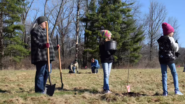 people planting trees