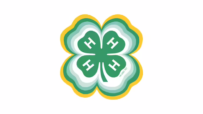 Radiating clover version of 4-H logo.