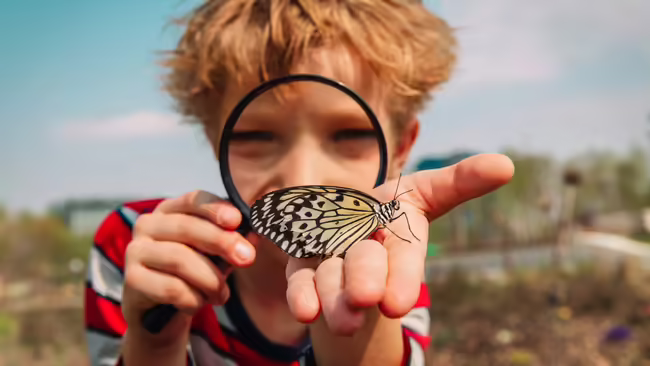 a young boy holding a butterfly and looking at it with a magnifying glass