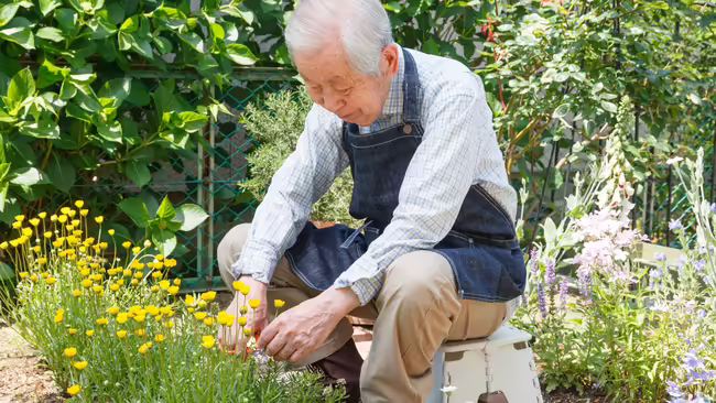 A man using a stool to help him garden 