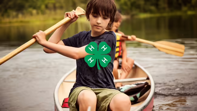 A young boy in a black shirt rowing a boat in a lake.