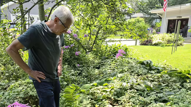 a man looking in a garden