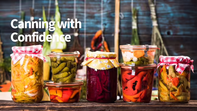 colorful variety of home canned vegetables