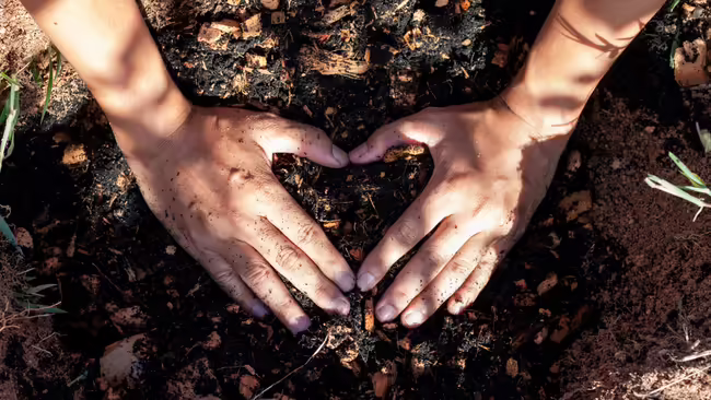 A pair of hands making a heart on top of a pile of compost 