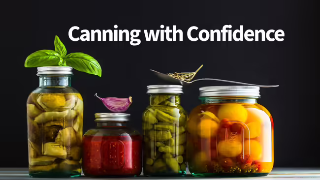 colorful variety of home canned vegetables