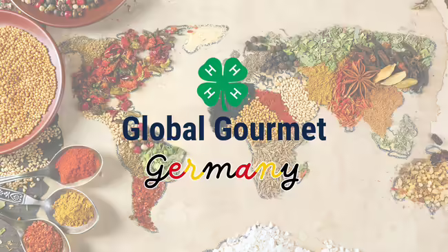 A variety of different spices from different parts of the world spilled out and shaped into the 7 continents. 