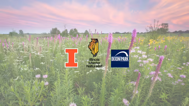 Prairie at sunset background with logos