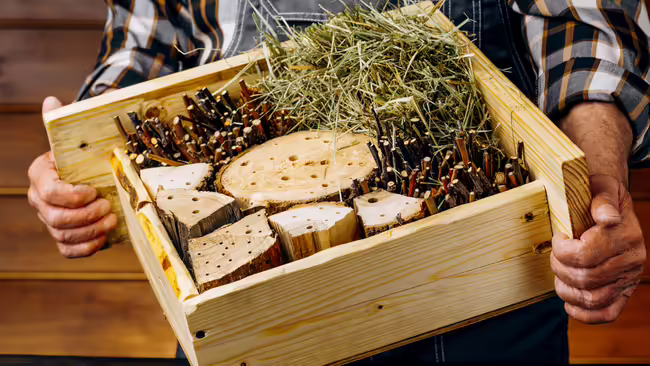 An individual holds a wooden insect hotel that is a box frame with sticks, grass, and tubes. 