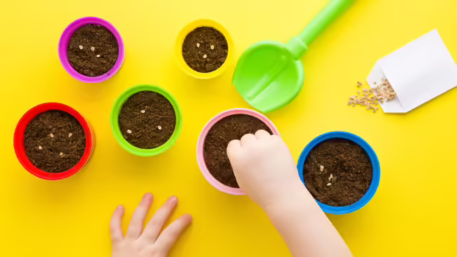 A small hands reach for seeds and plan them in a colorful pot. 