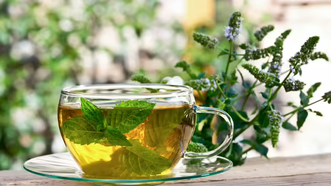 A glass teacup with herb-infused tea.