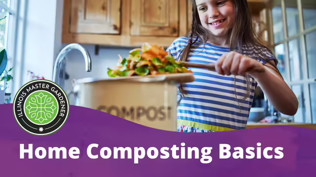 Home Composting Basics text overlaying a purple background with a young girl adding cuttings to a compost pot pictured