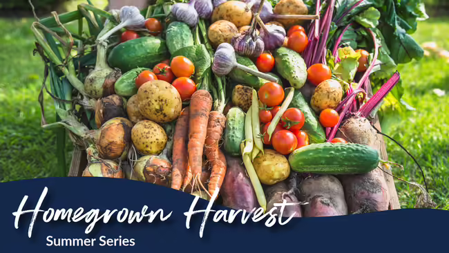 Multiple colorful vegetables 