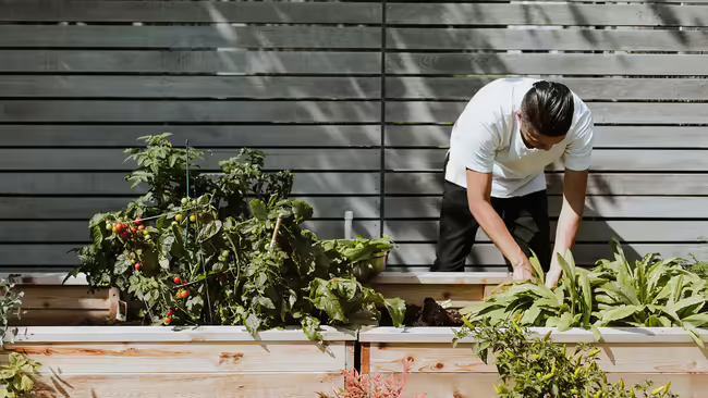 Raised garden bed 