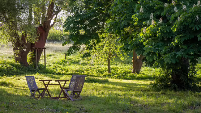 green summer lawn