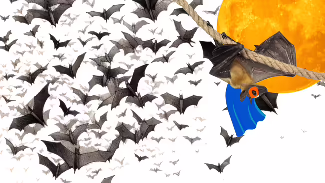 bat hanging upside down on rope in front of moon with other bats all around
